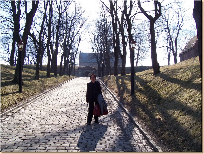 100_1919.JPG