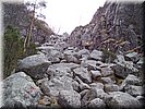 100_2003.JPG